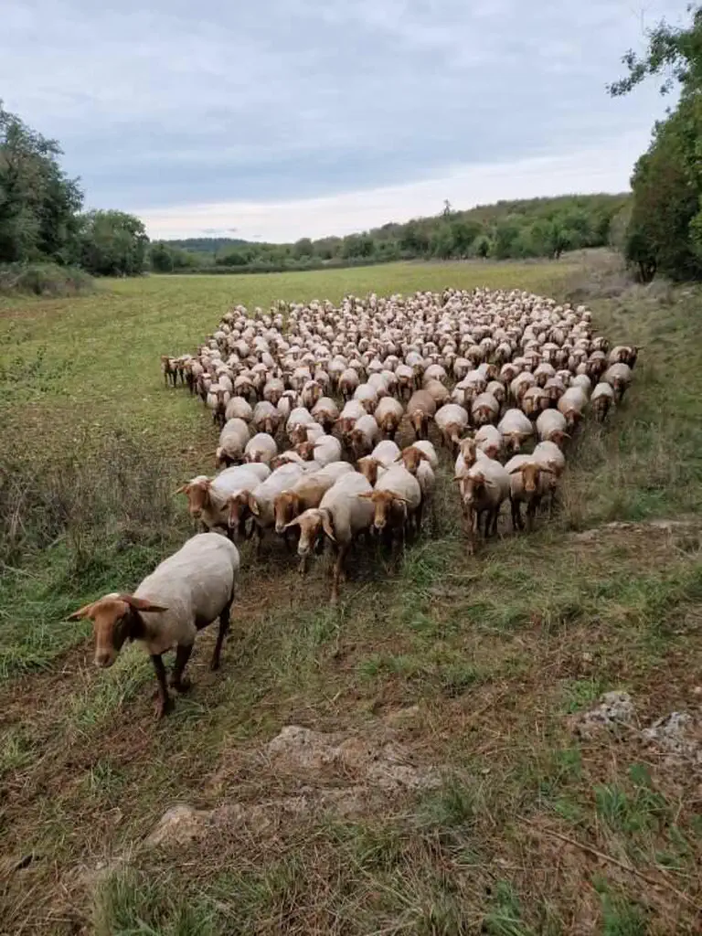ferme-gaec-pierre-et-terre-grealou-01 Gaec Ferme Pierre et Terre